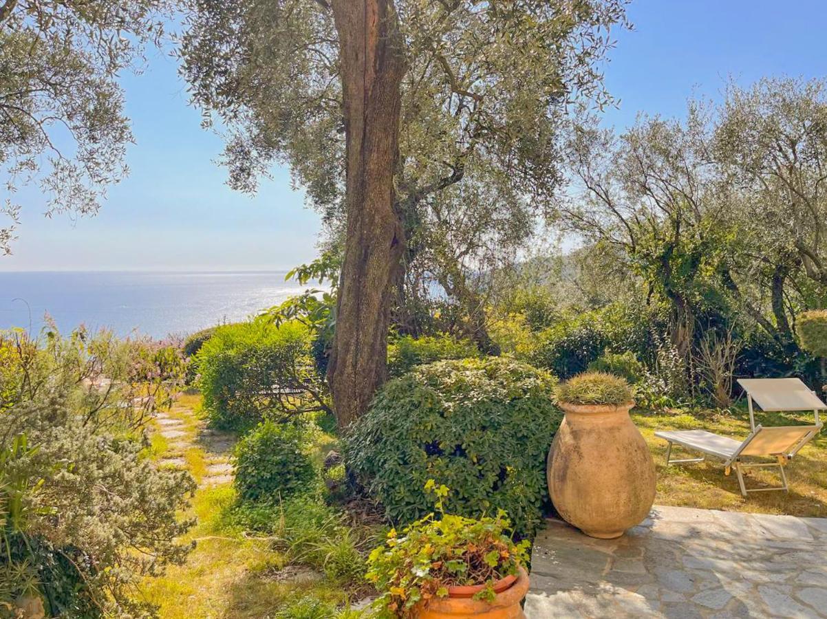 L'Uliveto Di Santa Con Piscina Villa Santa Margherita Ligure Ngoại thất bức ảnh